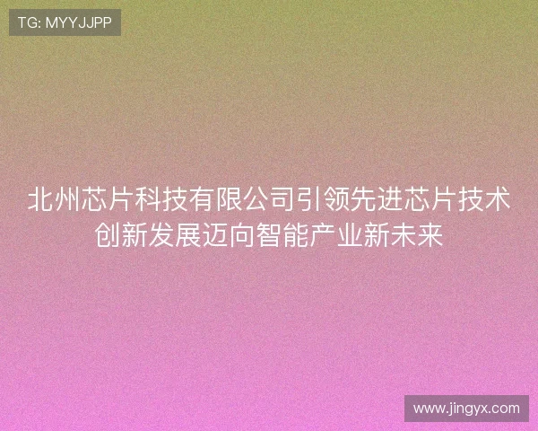 北州芯片科技有限公司引领先进芯片技术创新发展迈向智能产业新未来